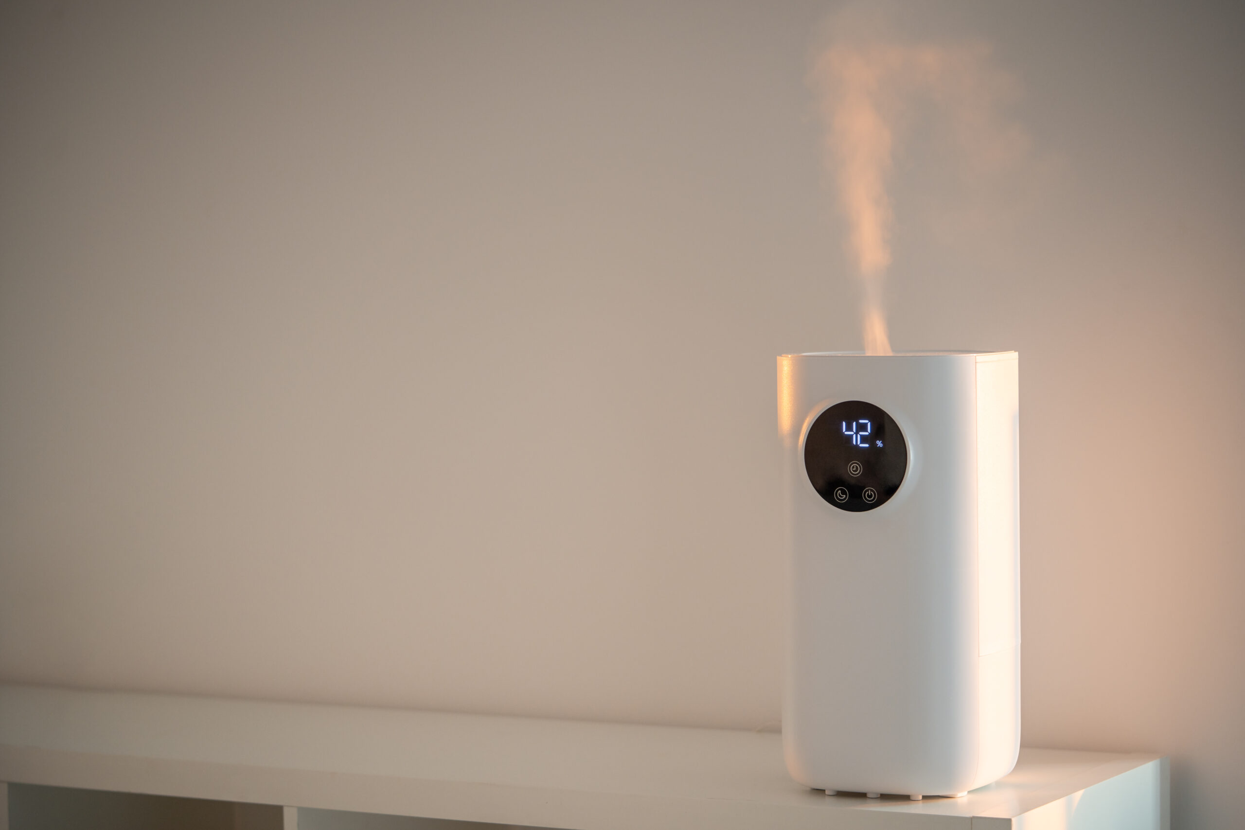 Humidifiers vs. Dehumidifiers: Do You Need One This Winter in Phoenix?