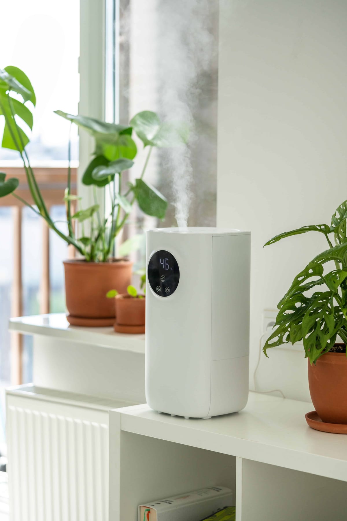 Modern humidifier at home moistens dry air