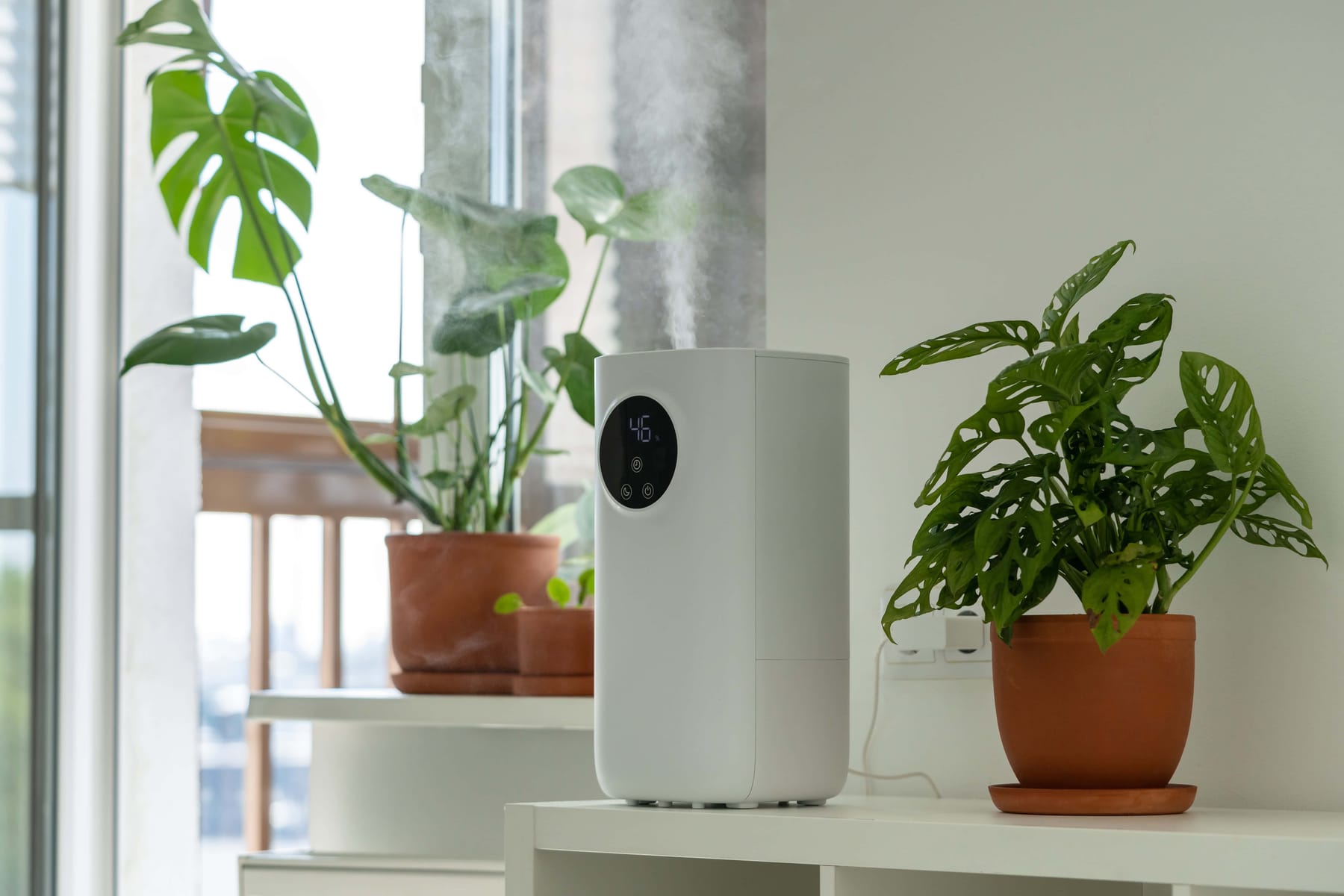 Modern humidifier at home moistens dry air