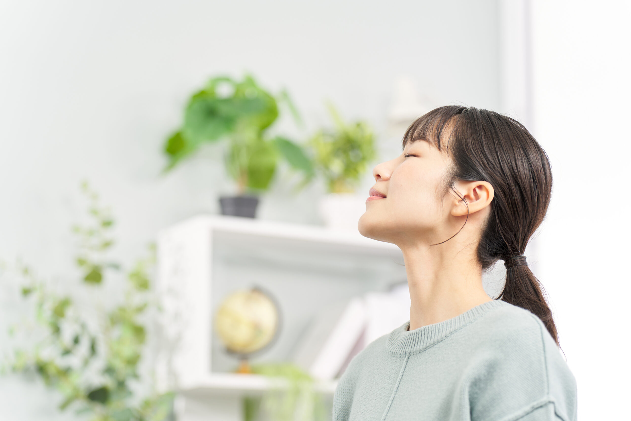 Spring Cleaning the Air in Your Arizona Home: Breathe Easier This Season