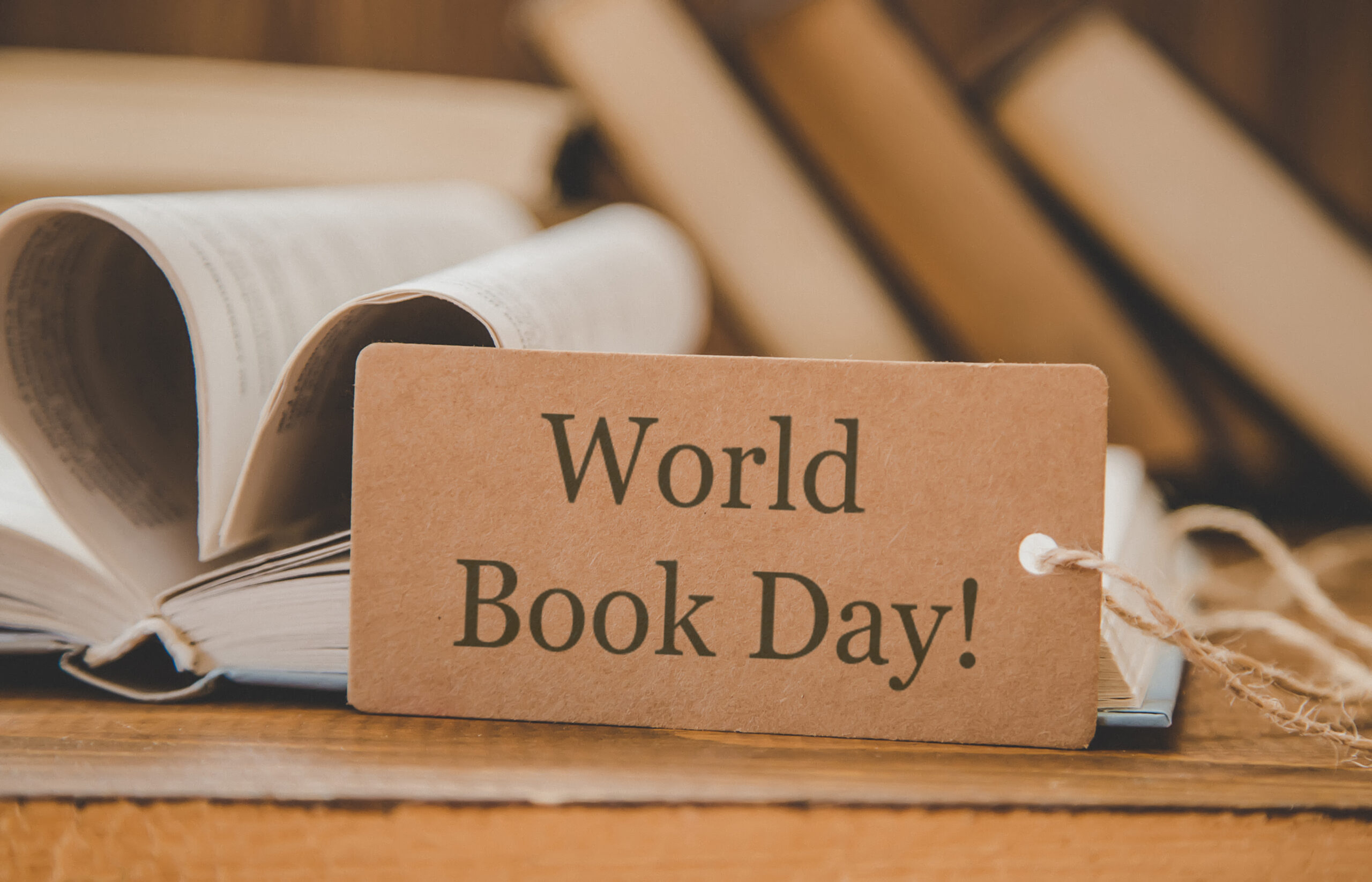 World Book Day: Our Favorite Reads to Stay Cool (and Cozy) in the Valley!