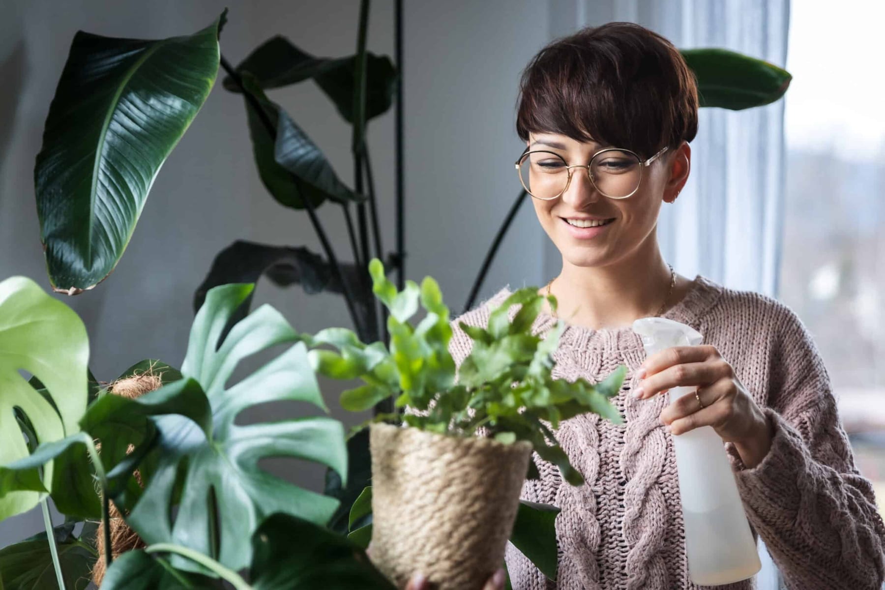 Top 5 Natural Ways to Enhance Indoor Air Quality at Home