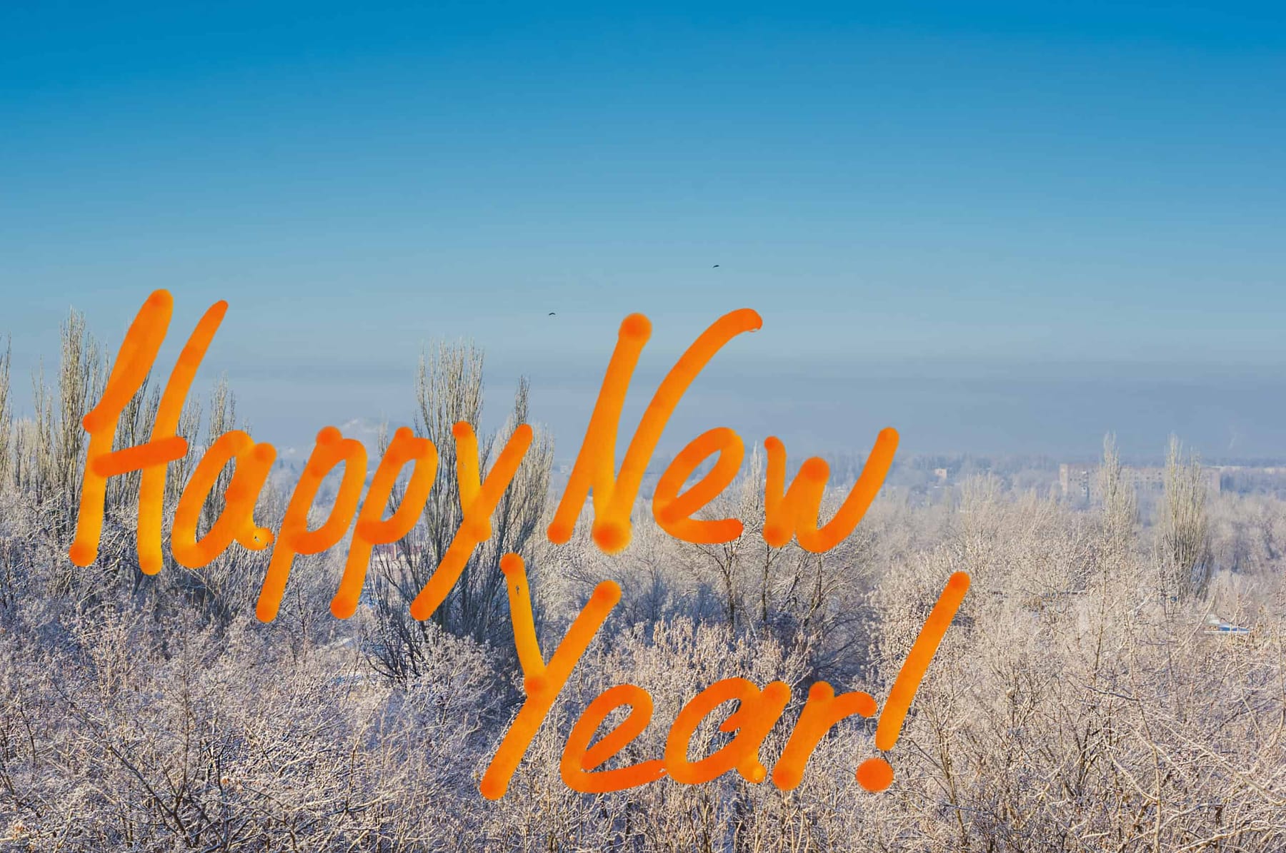 Ringing in the New Year with Comfort, Efficiency, and Peace of Mind