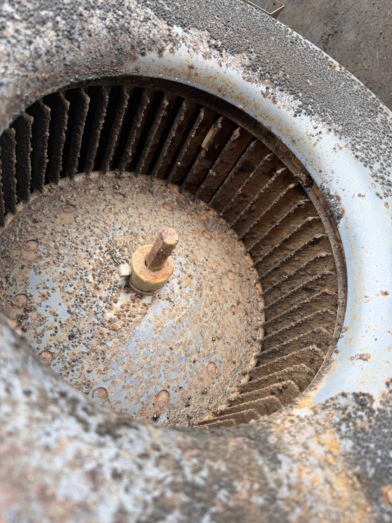 Blower motor with dirt and mold