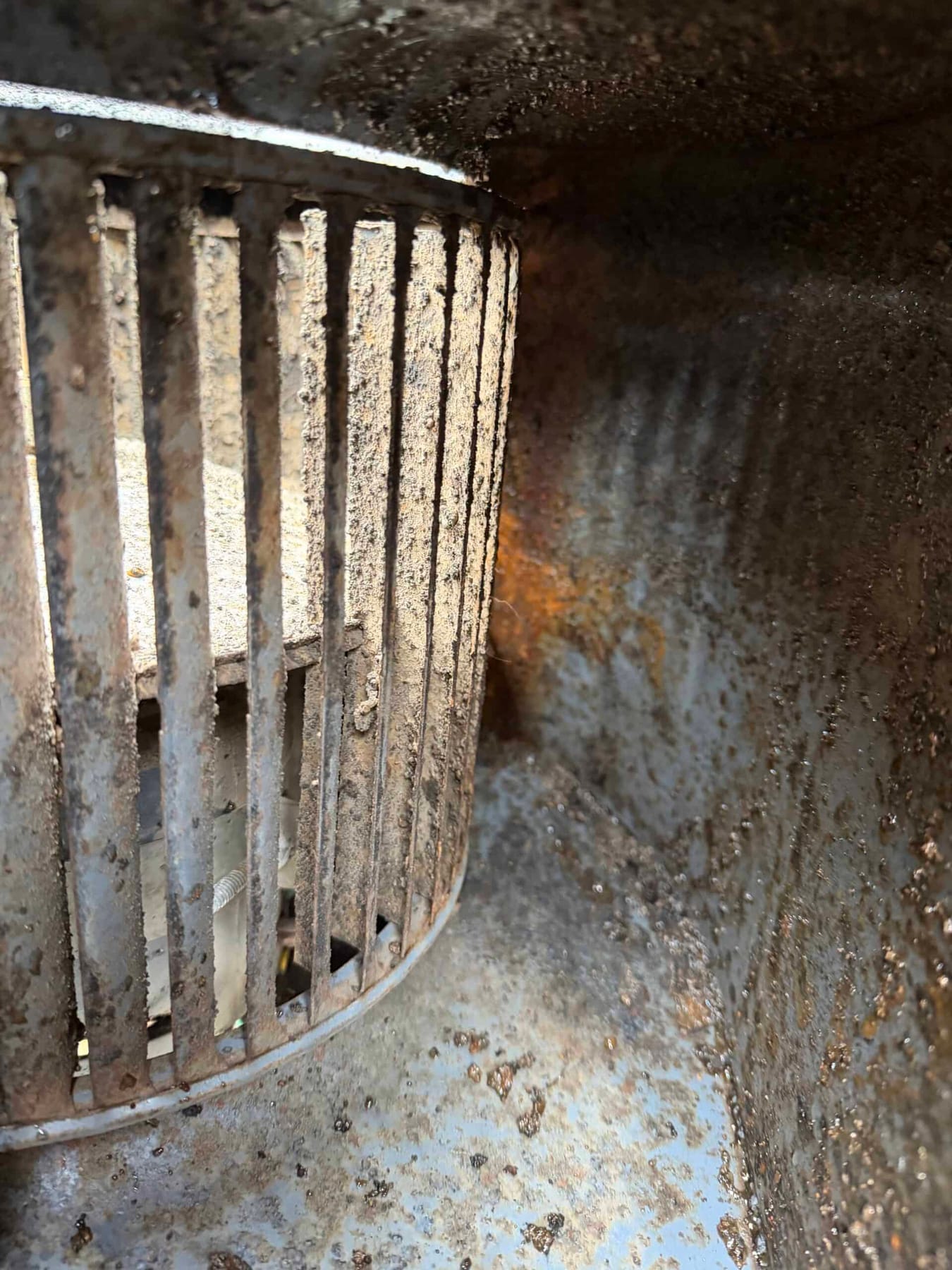 Mold on Your AC Blower Motor: A Hidden Health Risk