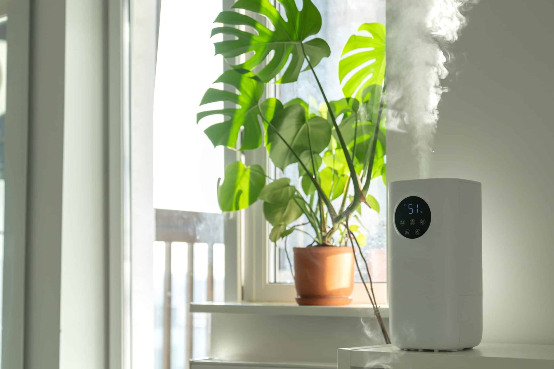 Changing Your Air Filter Monthly Is Critical for Your Health