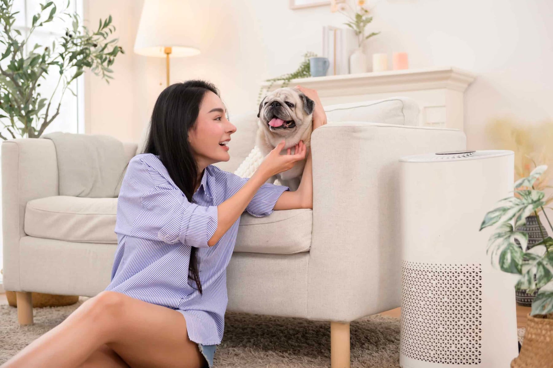 Air Purification Systems: A Must-Have for Pet Owners in Arizona