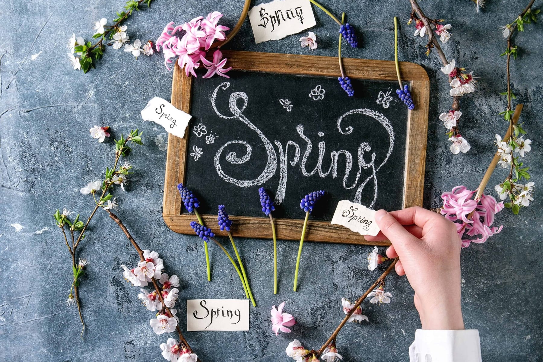 Spring Into Action: Your Total Home Renewal Checklist
